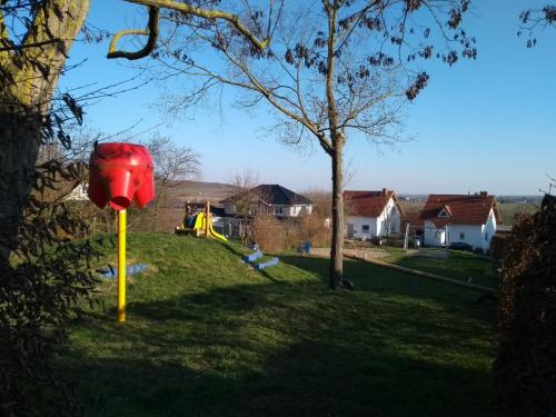 IMG_20230301_161317141